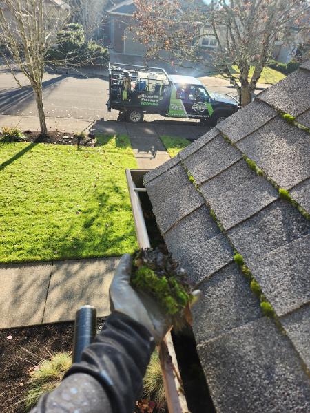 Roof & Gutter Cleaning in Springfield Oregon